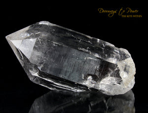 Himalayan Nirvana Cathedral Quartz Crystal Record Keeper 'Non Ordinary Reality' Rare