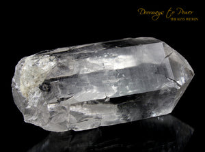 Himalayan Nirvana Cathedral Quartz Crystal Record Keeper 'Non Ordinary Reality' Rare