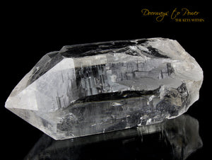 Himalayan Nirvana Cathedral Quartz Crystal Record Keeper