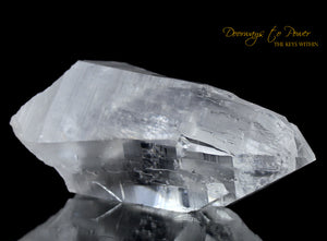 Himalayan Nirvana Quartz Crystal Record Keeper