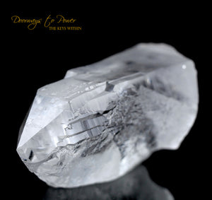 Himalayan Nirvana Quartz Crystal Record Keeper