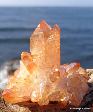 Imperial Gold Aura Quartz Channeling Crystal