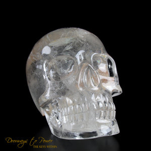 Leandro De Souza Crystal Skulls via Doorways to Power.com