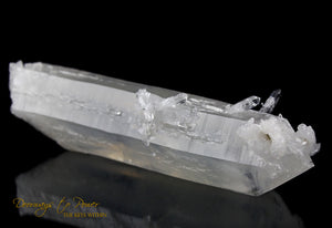 Lemurian Mist Self Healing ET Penetrator Quartz Crystal XL 8.5"