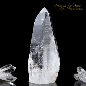 Lemurian Light Seed Quartz Isis Crystal Record Keeper Point