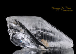 Lemurian Quartz Record Keeper Crystal 'Omnipresent Elder' 9D