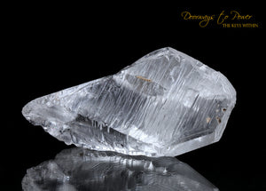 Lemurian Quartz Record Keeper Crystal 'Omnipresent Elder' 9D