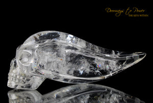 Lemurian Traveler Crystal Skull