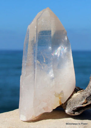 Lemurian Starseed Quartz Tantric Twin Channeling Crystal