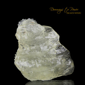 Libyan Gold Tektite Dragon Crystal Carving