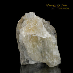 Petalite Crystal & Synergy 12 Stone