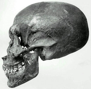 Moldavite Akhenaten Elongated Crystal Skull 