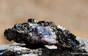 Blue Sapphire Corundum Crystal Specimen