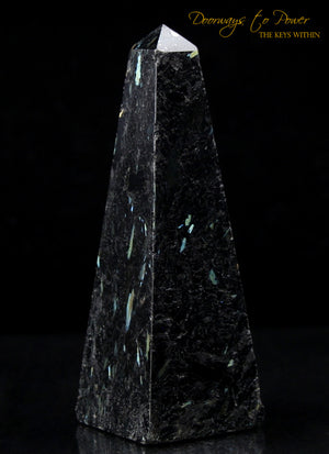 Nuummite Generator Crystal Point