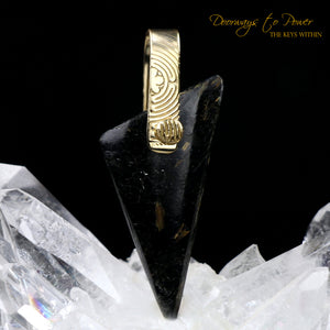 Nuummite Light Language Crystal Pendant ™ 14k