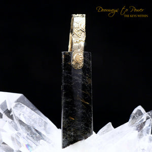 Nuummite Light Language Crystal Pendant 22k