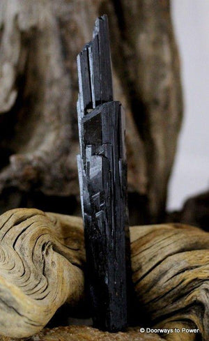 Aegirine Crystal Wand