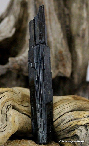 Aegirine Crystal Wand