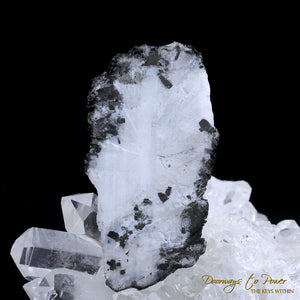 Rainbow Moonstone Dragon Crystal Talisman