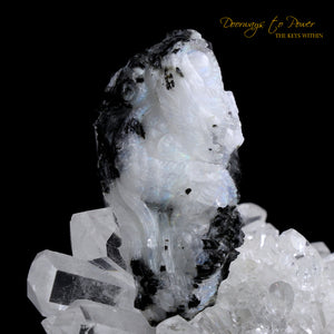 Rainbow Moonstone Dragon Crystal Carving 'Awaken the Dragon'