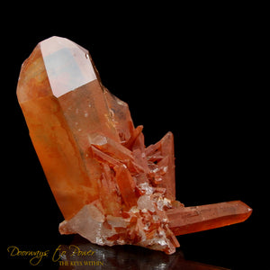 Red Lemurian Sunken Record Keeper Crystal Cluster