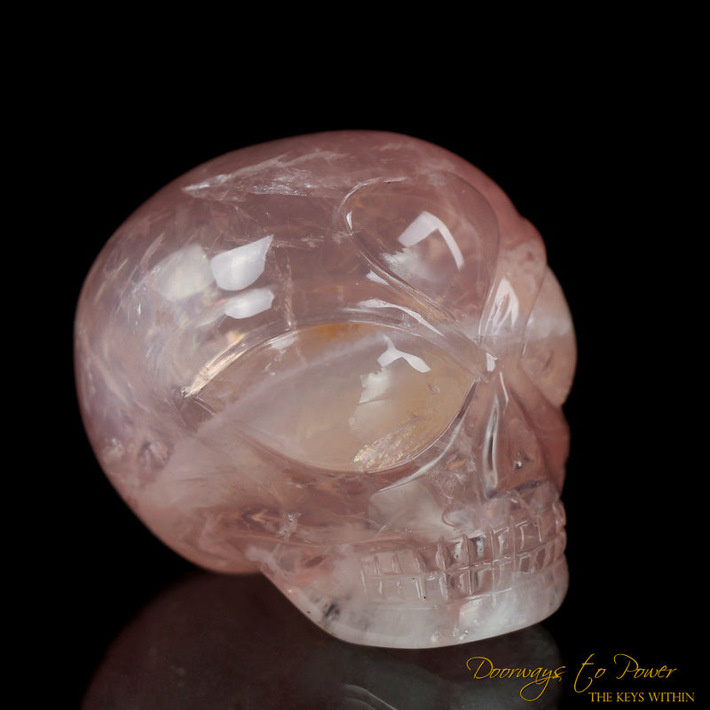 Rose Quartz ET Crystal Skull by Leandro De Souza