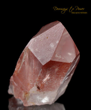Scarlet Temple Rosetta Stone Cassiopeia Starbrary Lightning Struck Lemurian Crystal