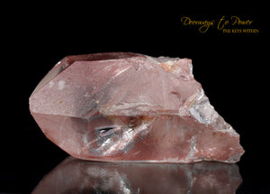 Scarlet Temple Rosetta Stone Cassiopeia Starbrary Lightning Struck Lemurian Crystal