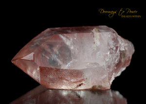 Scarlet Temple Rosetta Stone Cassiopeia Starbrary Lightning Struck Lemurian Crystal