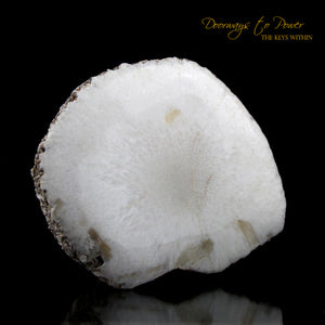 Scolecite Synergy 12 Stone Crystal