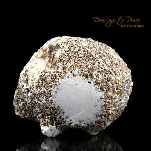 Scolecite Synergy 12 Stone Crystal