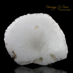 Scolecite Synergy 12 Stone Crystal