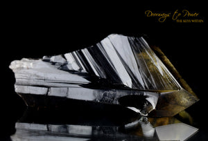 Smoky Citrine Lemurian Quartz Crystal 'Grounded In the All'