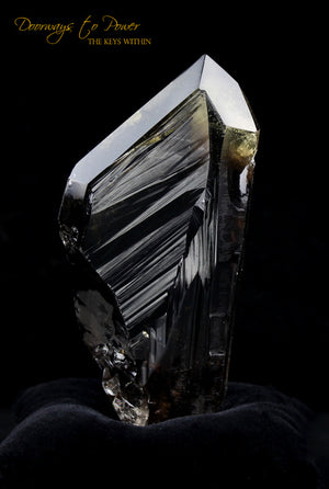 Smoky Citrine Lemurian Quartz Crystal 'Grounded In the All'