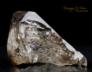 Smoky Elestial Quartz Crystal Record Keeper