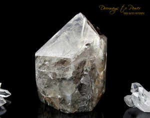 Smoky Elestial Quartz Crystal Record Keeper