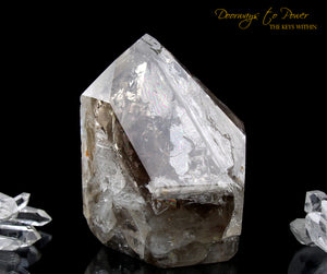 Smoky Elestial Quartz Crystal Record Keeper