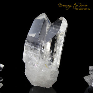 Starseed Lemurian Quartz Tantric Twin Record Keeper Crystal 