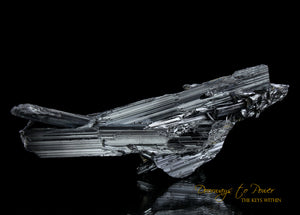 Stibnite Specimen 'VOYAGER'