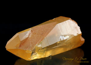 Tangerine Dream Lemurian Master Crystal