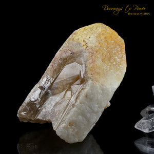Tangerine Dreamsicle Lemurian Quartz Crystal Record Keeper