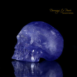 Tanzanite Crystal Skull (Ultra Rare)