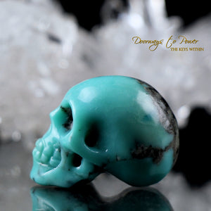 Turquoise Crystal Skull Carving