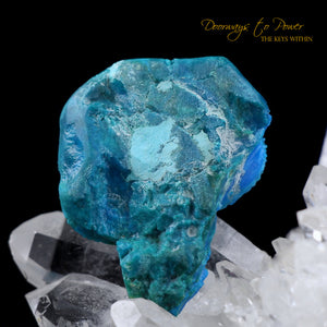 Turquoise Dragon Crystal Carving