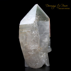 Chlorite Quartz Crystal Skull 'WARRIOR'  By Leandro De Souza