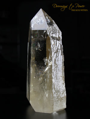 XL Citrine Cathedral Lightbrary Quartz Record Keeper Crystal