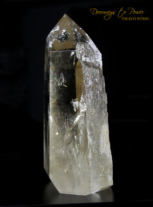 XL Citrine Cathedral Lightbrary Quartz Record Keeper Crystal