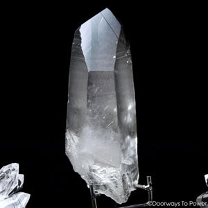 Black Phantom Lemurian Record Keeper Quartz DOW Crystal