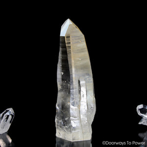Golden Healer Lemurian Seed Pleiadian Starbrary Record Keeper Dolphin Crystal