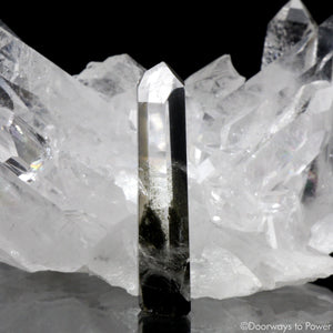 Brookite Synergy 12 Stone